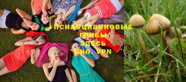 гидропоника Бабаево
