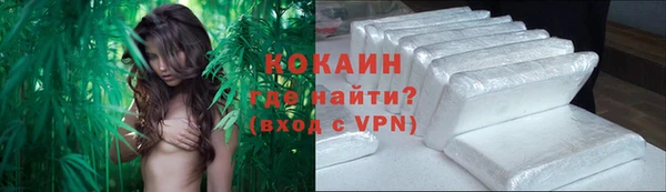 дживик Михайлов