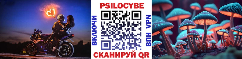 Псилоцибиновые грибы GOLDEN TEACHER  кракен tor  Каменск-Шахтинский 