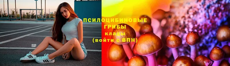 продажа наркотиков  ссылка на мегу как зайти  Галлюциногенные грибы Psilocybine cubensis  Каменск-Шахтинский 