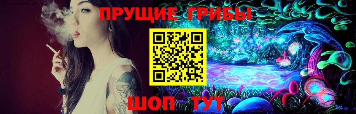 Псилоцибиновые грибы MAGIC MUSHROOMS Каменск-Шахтинский