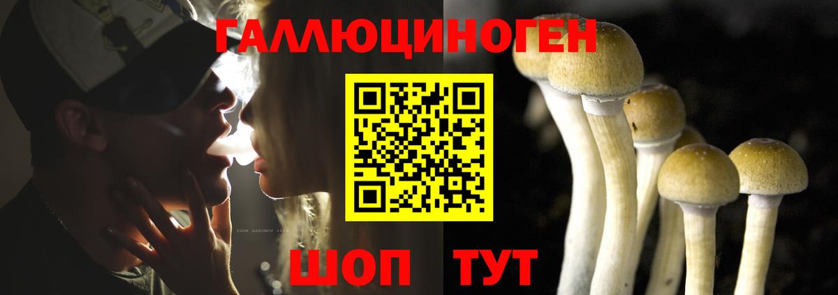 Псилоцибиновые грибы MAGIC MUSHROOMS  Вход с VPN  Каменск-Шахтинский 